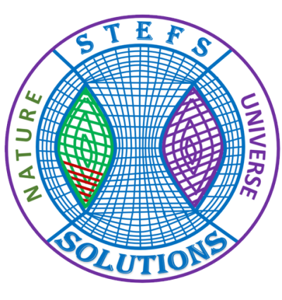 STEFS-Solutions-Trademark-LOGO-01 STEFS LOGO